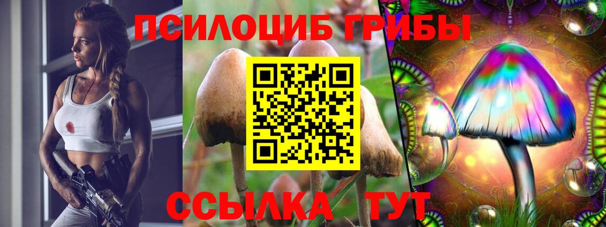 Псилоцибиновые грибы мухоморы Лыткарино
